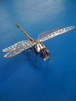 Libelle 3mm Edelstahl elektropoliert